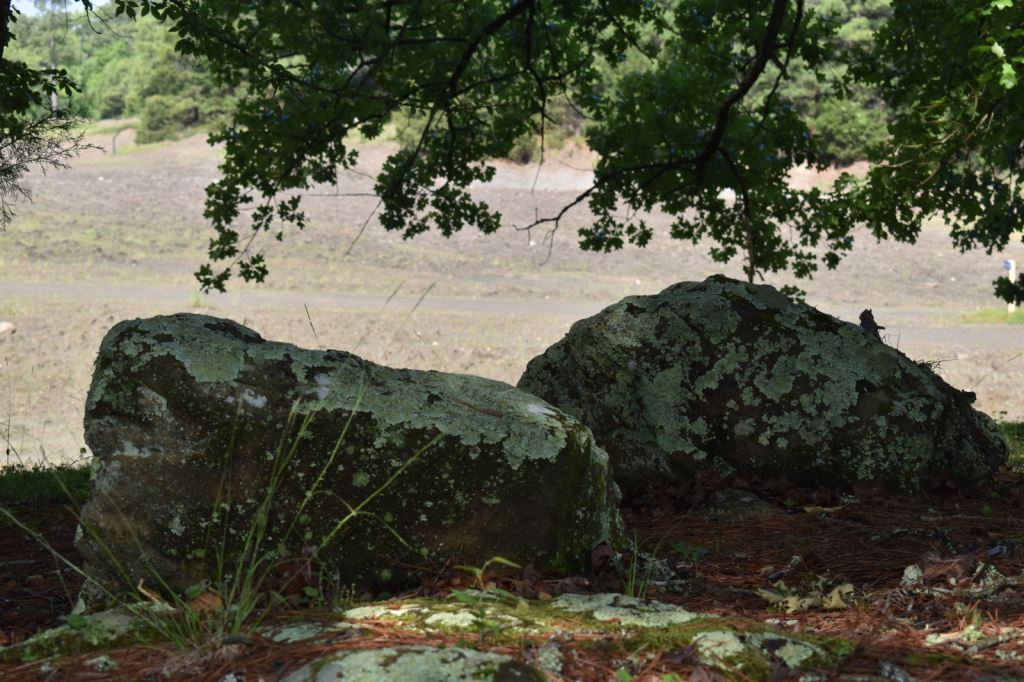 Maar epiclastic lamproite